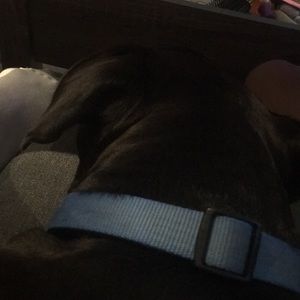 Meet your Posher, Blake